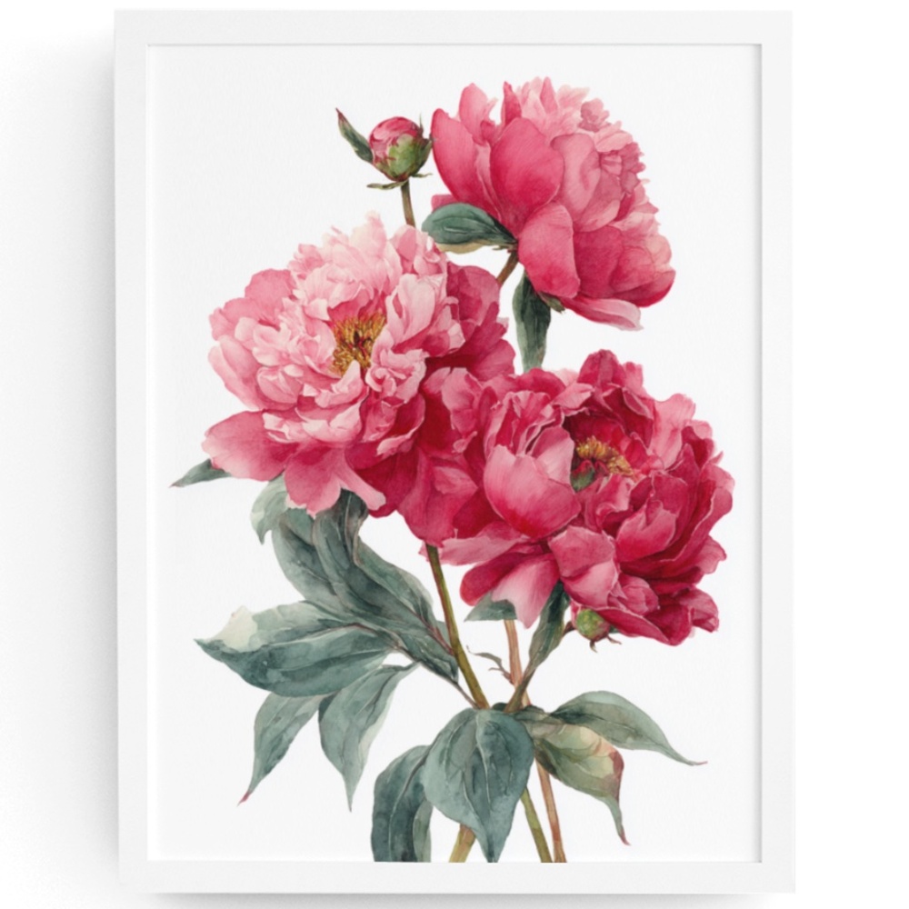 Watercolor Peonies Flowers Wall Art Print, Unframed - Vibrant Floral Grace